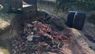 Сина старости на Львівщині затримали під час скидання решток тварин у лісі