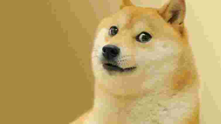 Twitter змінив логотип із пташкою на собаку-мем Doge