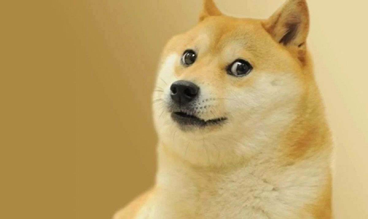 Twitter змінив логотип із пташкою на собаку-мем Doge