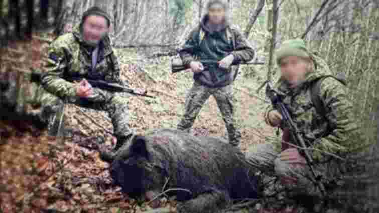 Нацпарк на Закарпатті звинуватив прикордонників у вбивстві ведмедиці