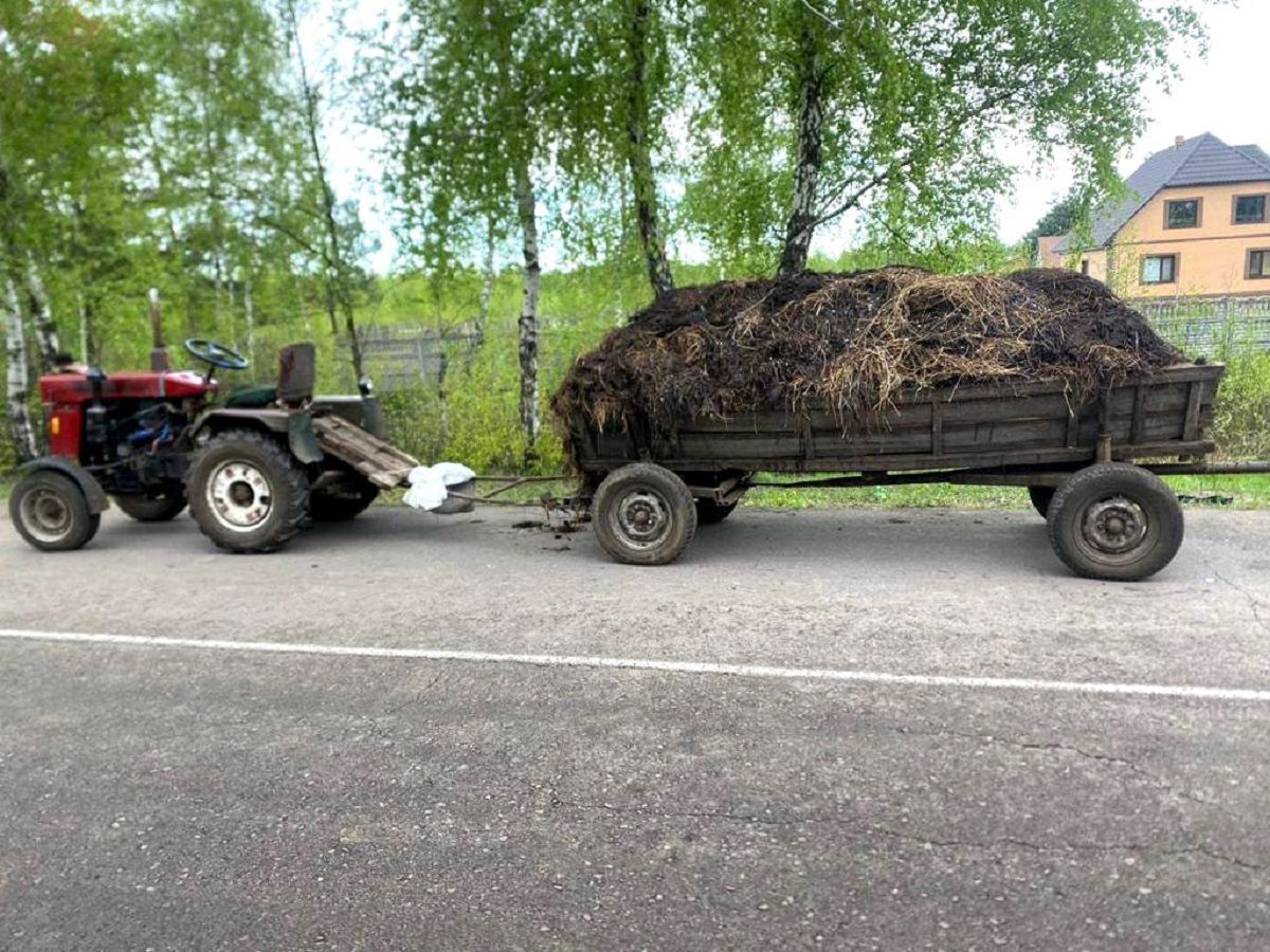 10-річний хлопець загинув під колесами гужової підводи на Рівненщині