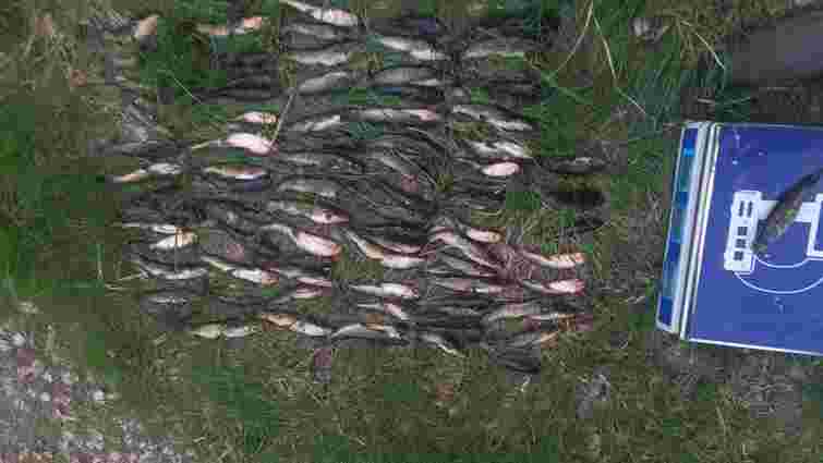 У заказнику на Волині браконьєр наловив сітками риби на 240 тис. грн
