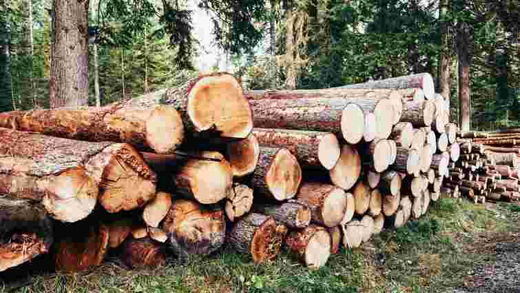 Лісівник НААН на Львівщині продавав деревину за хабарі