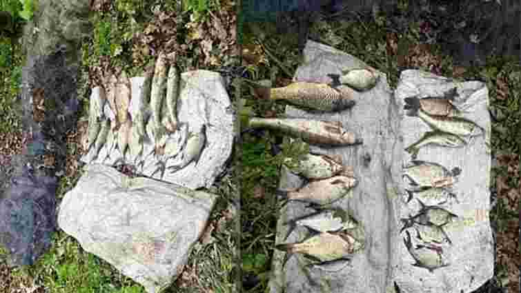 Двоє браконьєрів на річці Серет на Тернопільщині виловили риби на 34 тис. грн