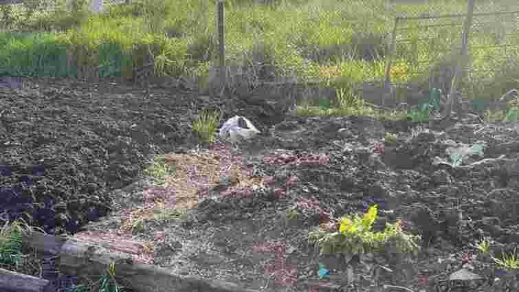 У селі біля Львова 25-річний чоловік убив односельчанина та закопав тіло на городі