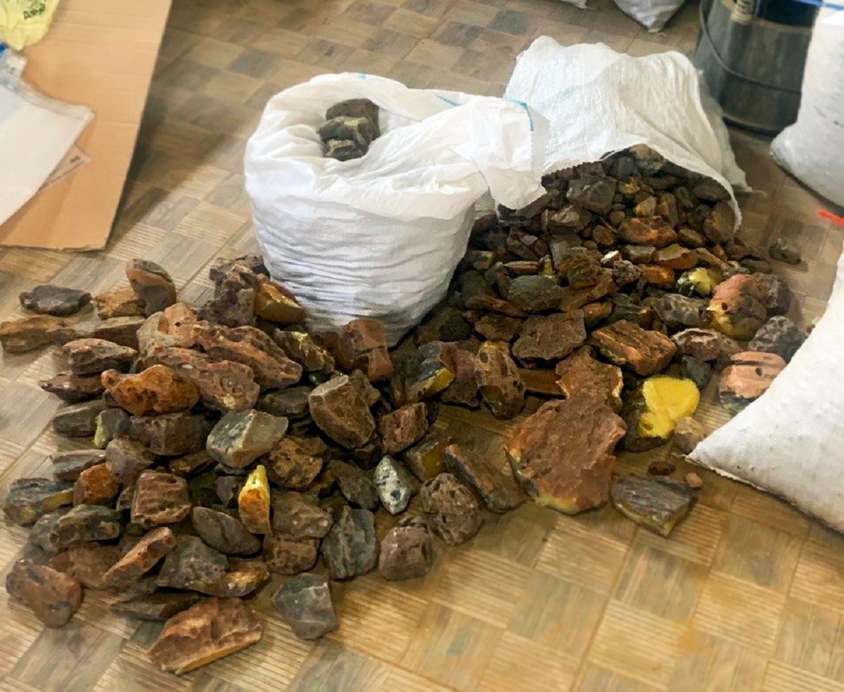 Поліція знайшла у мешканця Рівненщини півтонни бурштину вартістю 7 млн грн