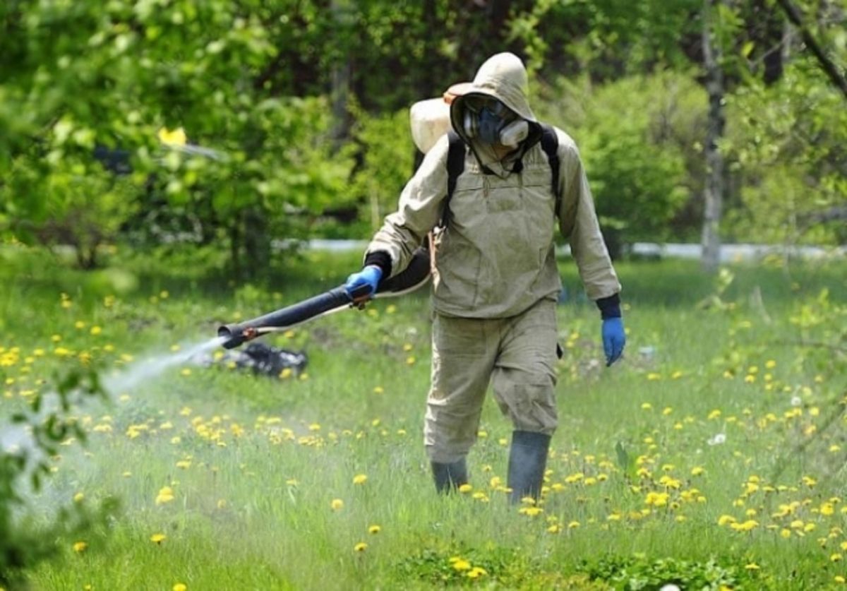 Львів‘ян просять не відвідувати міські парки через обробку від кліщів