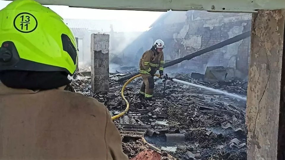 Наслідки пожежі на птахофермі