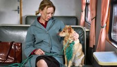 Каннський фестиваль: тіні війни