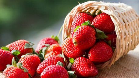 Чи можна їсти полуницю, яку продають у Львові?