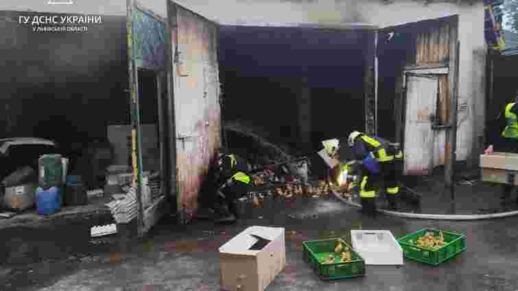У пожежі на міні-птахофермі на Львівщині загинули 350 каченят