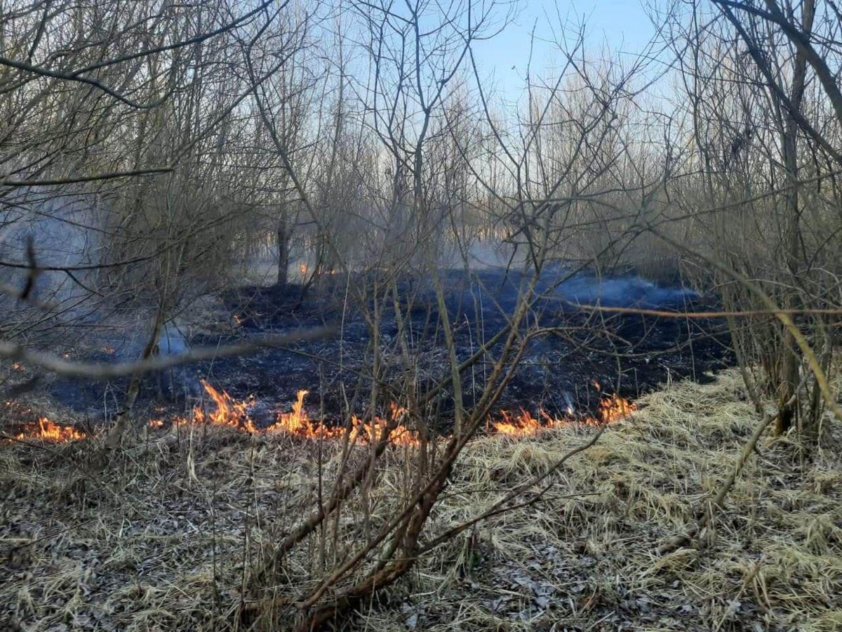 Суд оштрафував на 1,7 тис. грн мешканку Рівненщини, син якої спричинив пожежу