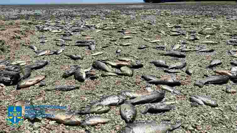 Через підрив Каховської ГЕС на Дніпропетровщині загинули 28 тис. рибин