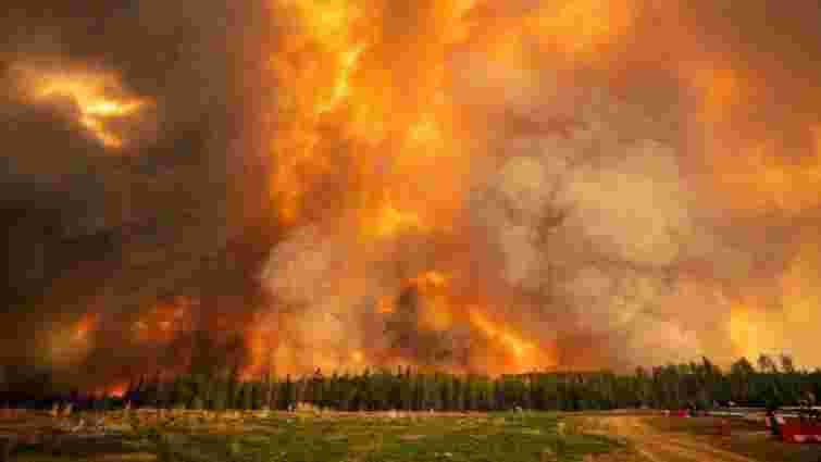 Україна запропонувала Канаді допомогу з подолання лісових пожеж