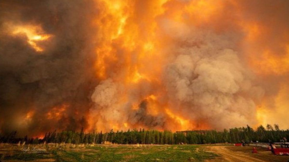 Україна запропонувала Канаді допомогу з подолання лісових пожеж