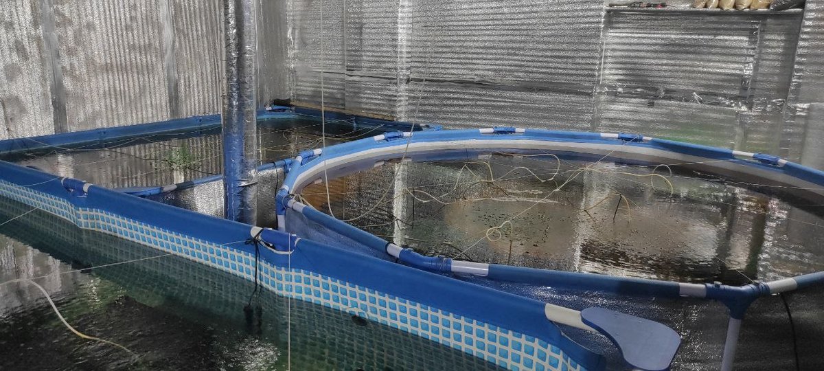 Від басейнів, температура води у яких становить 28-30 градусів, утеплене приміщення нагрівається