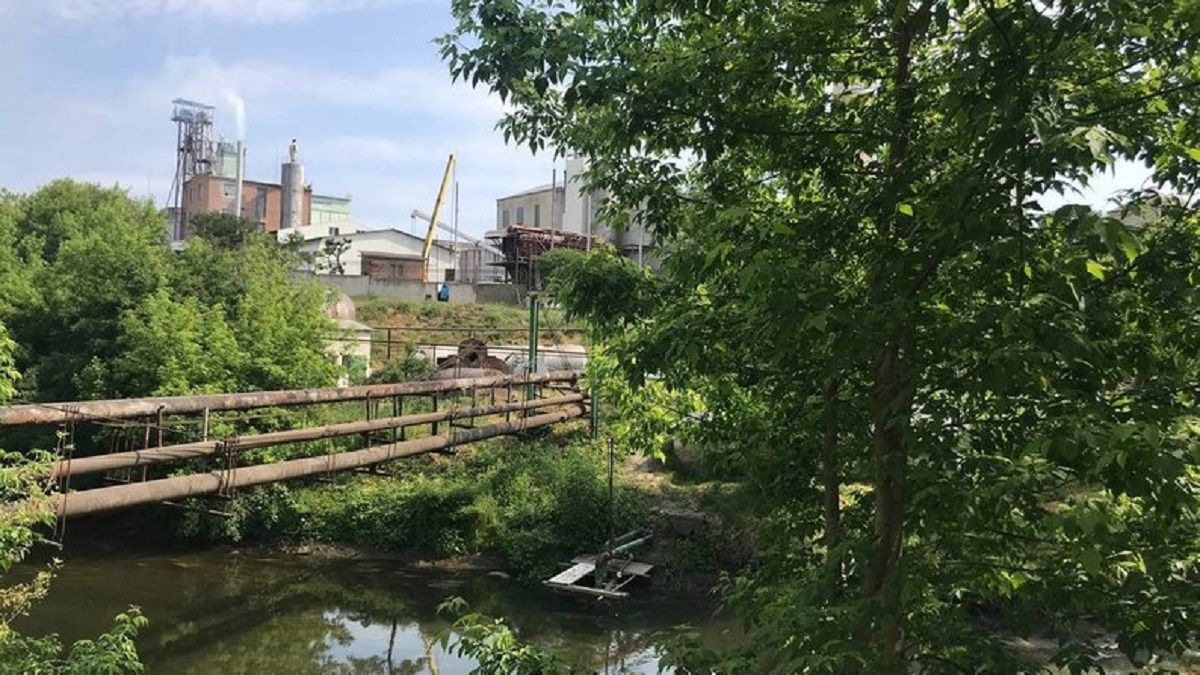 Екоінспекція назвала причину мору риби у річці Серет на Тернопільщині