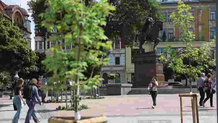 Благодійники заспонсорували висадку дерев на центральній площі Львова 