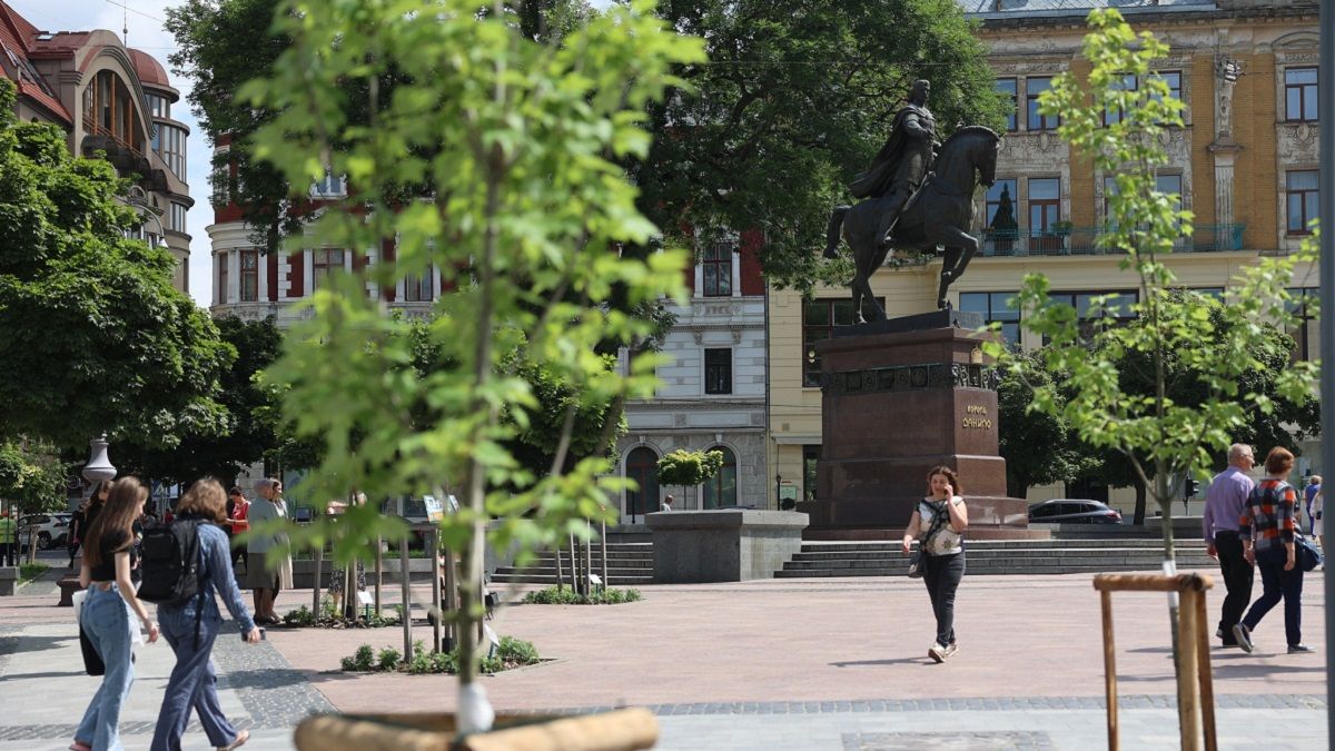 Благодійники заспонсорували висадку дерев на центральній площі Львова 