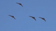 Підсумки 482 дня війни