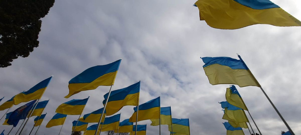 Раніше судимий буковинець зламав прапор на могилі загиблого військового