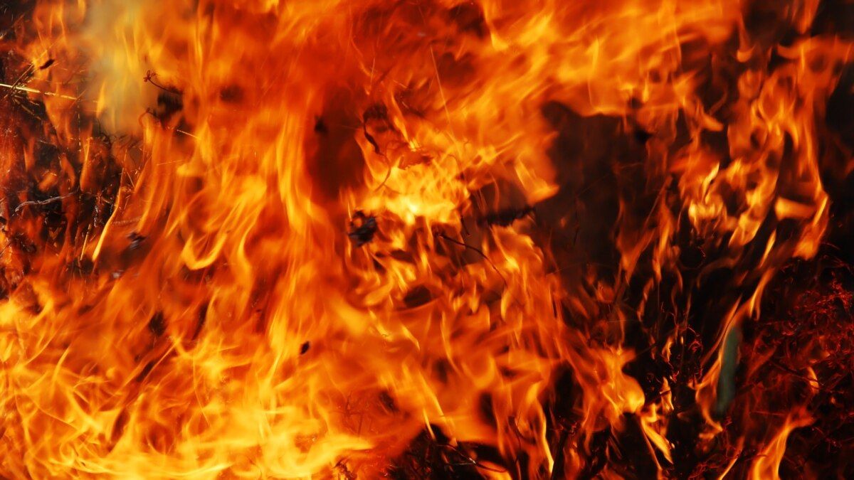 На Буковині в лісі живцем згорів чоловік 