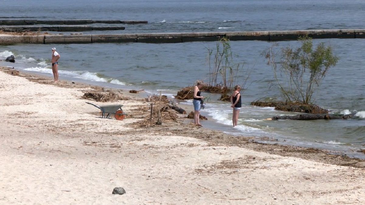 На Одещині зафіксували цвітіння Чорного моря через підрив Каховської ГЕС
