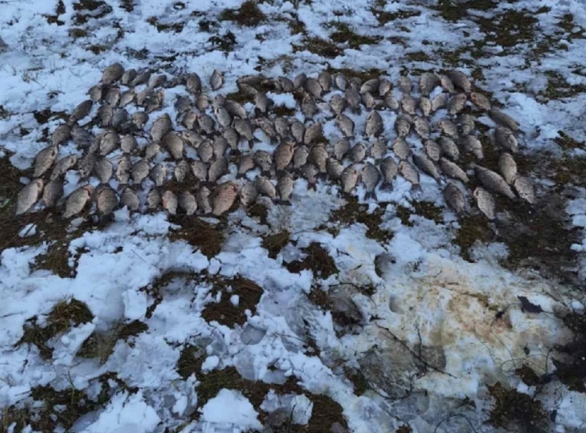Двоє рибалок з Хмельниччини відшкодують 193 тис. грн за вилов риби сітками