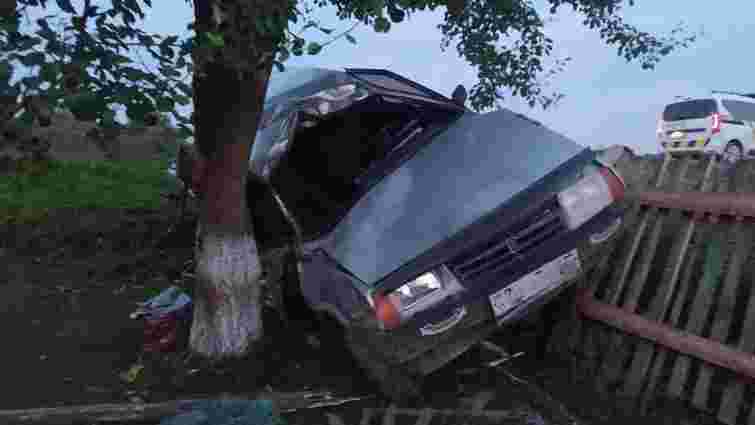 У гірському селі на Львівщині 33-річний водій ВАЗ врізався в дерево і загинув