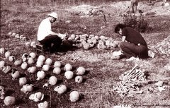 Від щирості до політичного реалізму