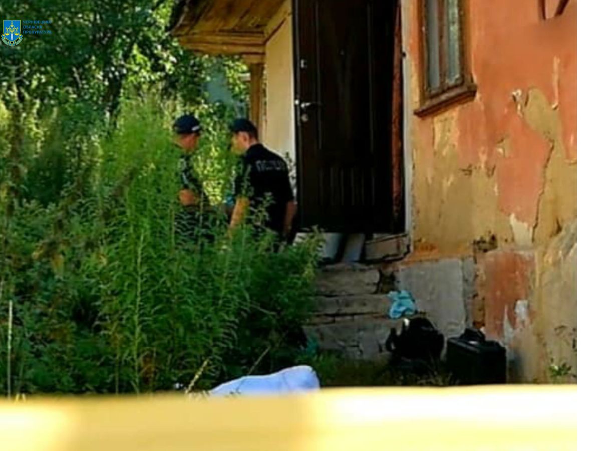 60-річну жительку Буковини засудили до 8 років в'язниці за вбивство співмешканця