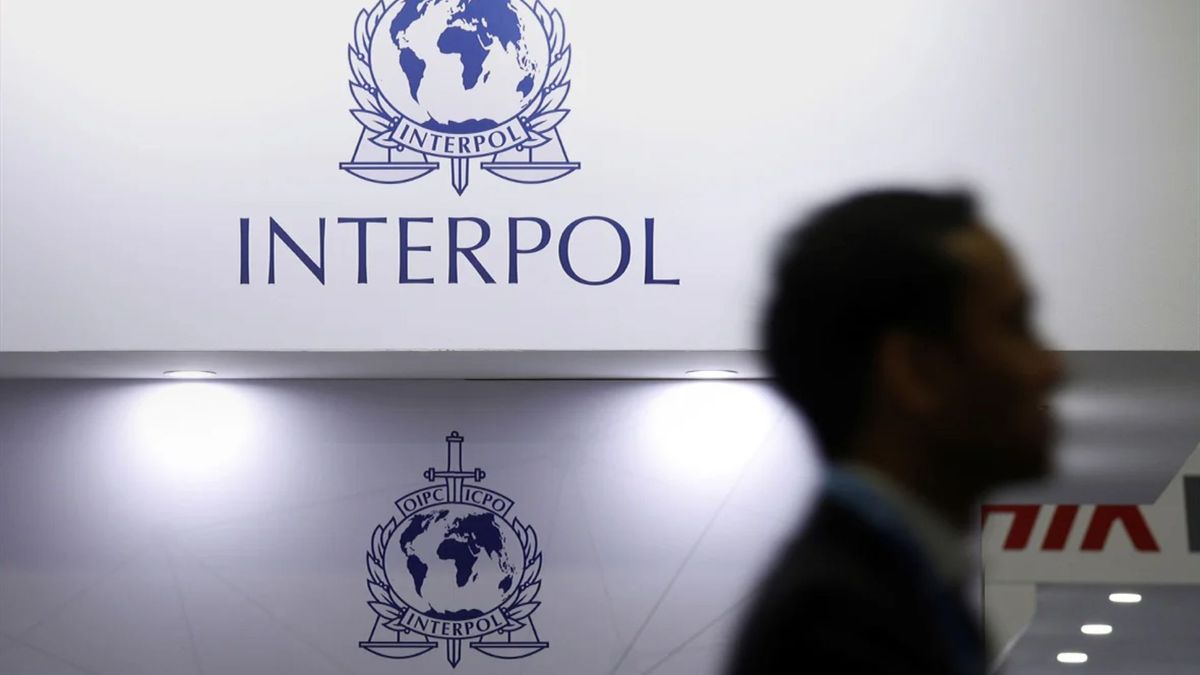 Інтерпол розшукуватиме проросійських колаборантів у Європі