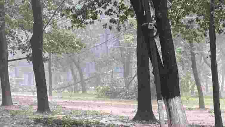 В Ужгороді через негоду обірвані електролінії, повалені дерева та підтоплені вулиці