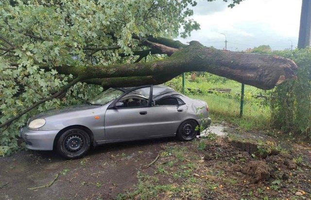 фото Mukachevo.net
