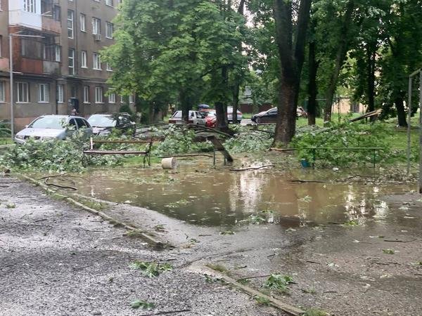 фото «Перший кабельний»