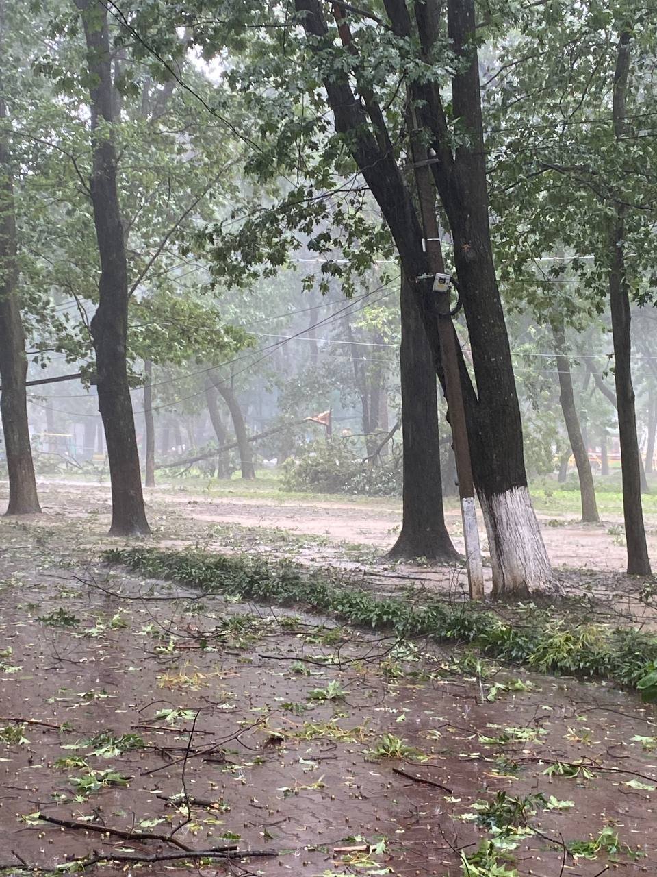 фото «Перший кабельний»