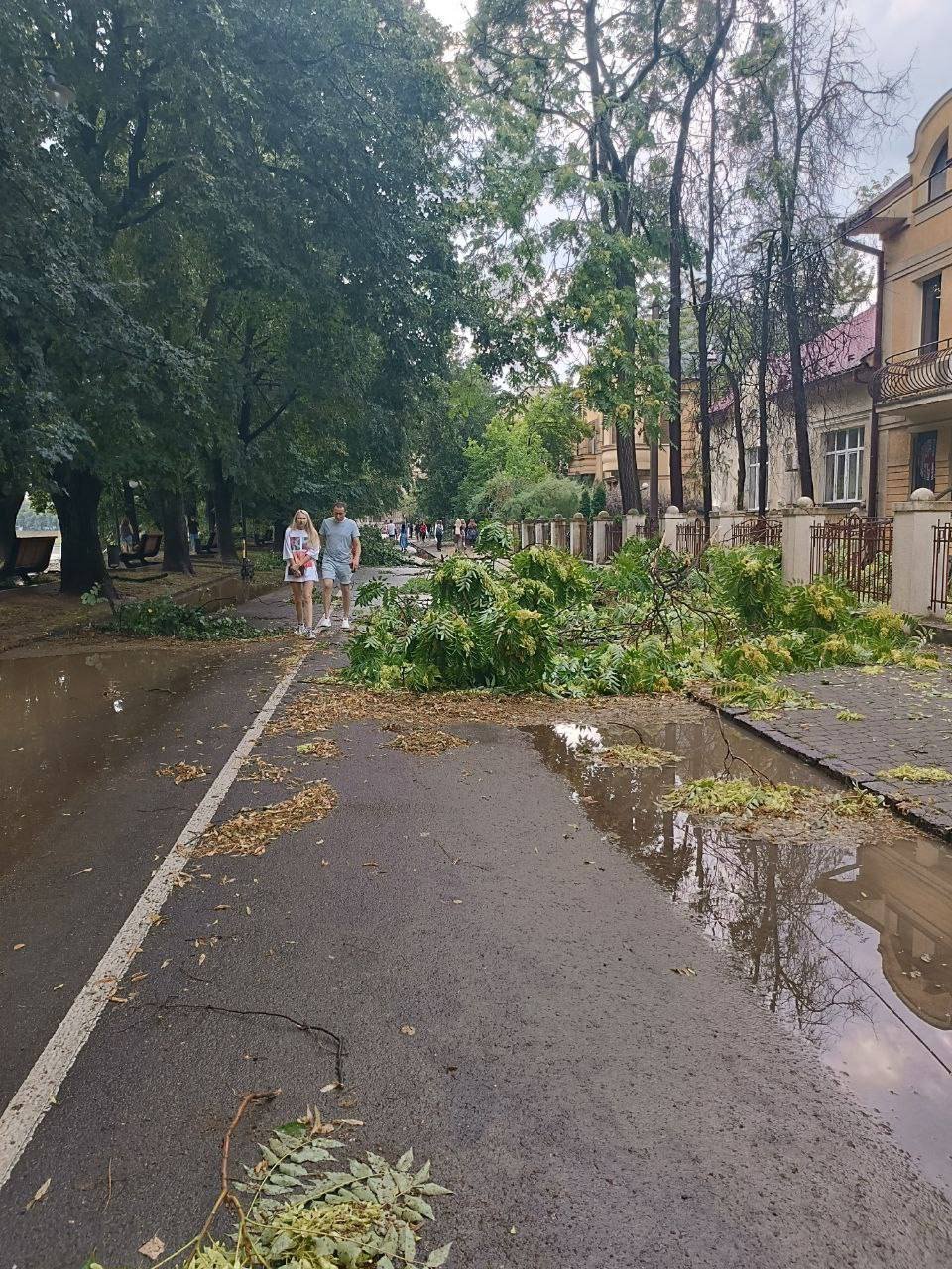 фото Сайт 0312