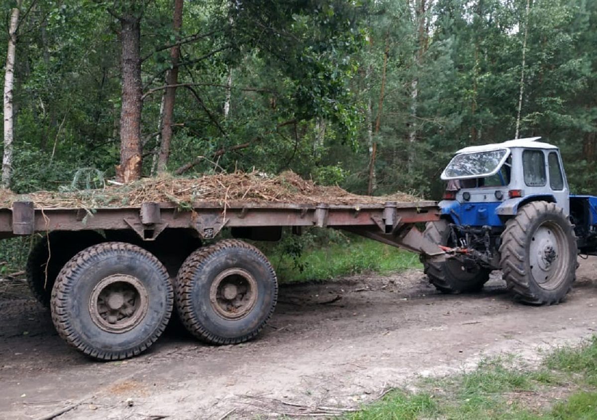 У лісі на Волині п'яний 29-річний тракторист на смерть переїхав чоловіка