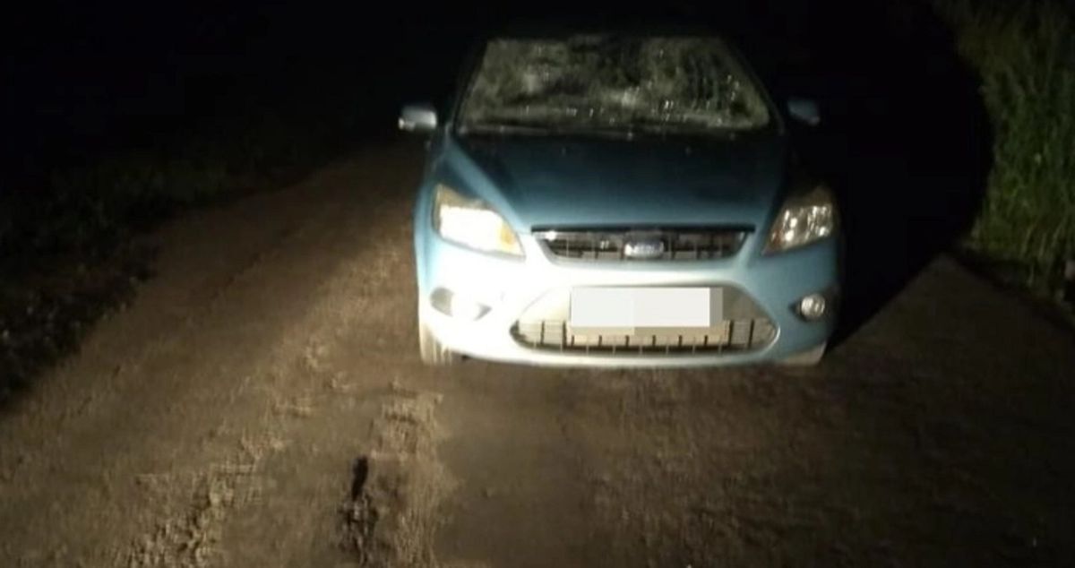 Луцький суд призначив 3,5 роки тюрми п'яному водієві за наїзд на двох пішоходів