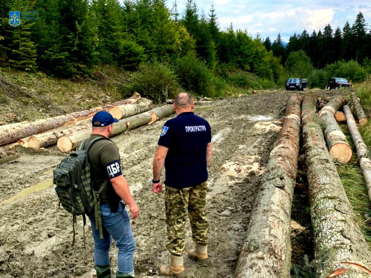 На Буковині викрили злочинну групу лісівників
