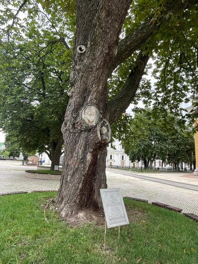 фото Олексія Короля