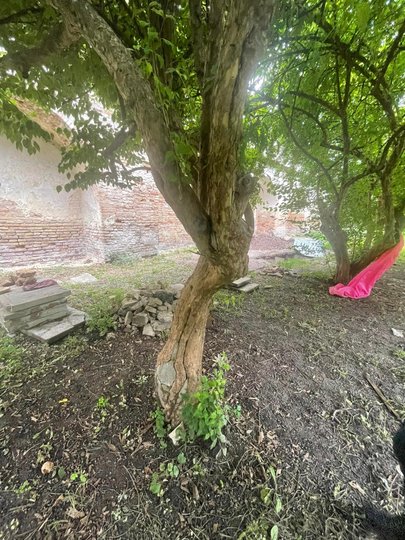 фото Олексія Короля