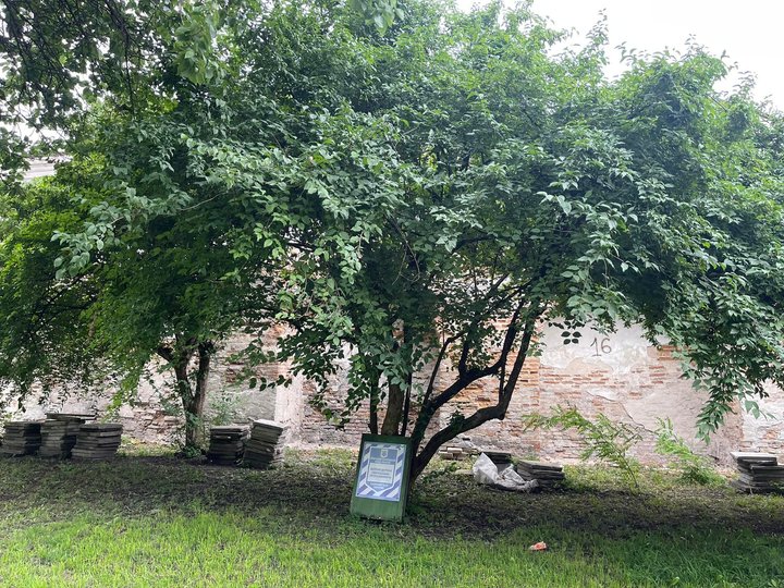 фото Олексія Короля