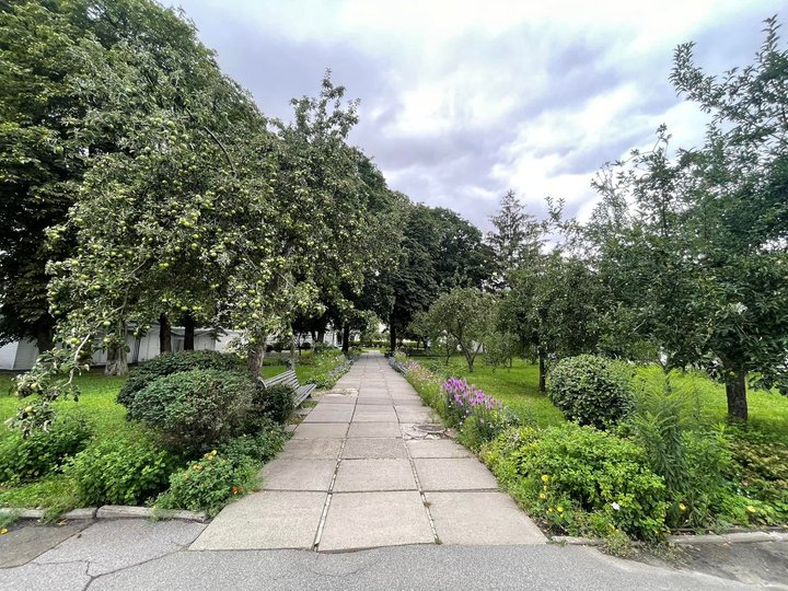 фото Олексія Короля