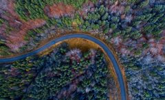 Закарпатські національні парки та заповідники