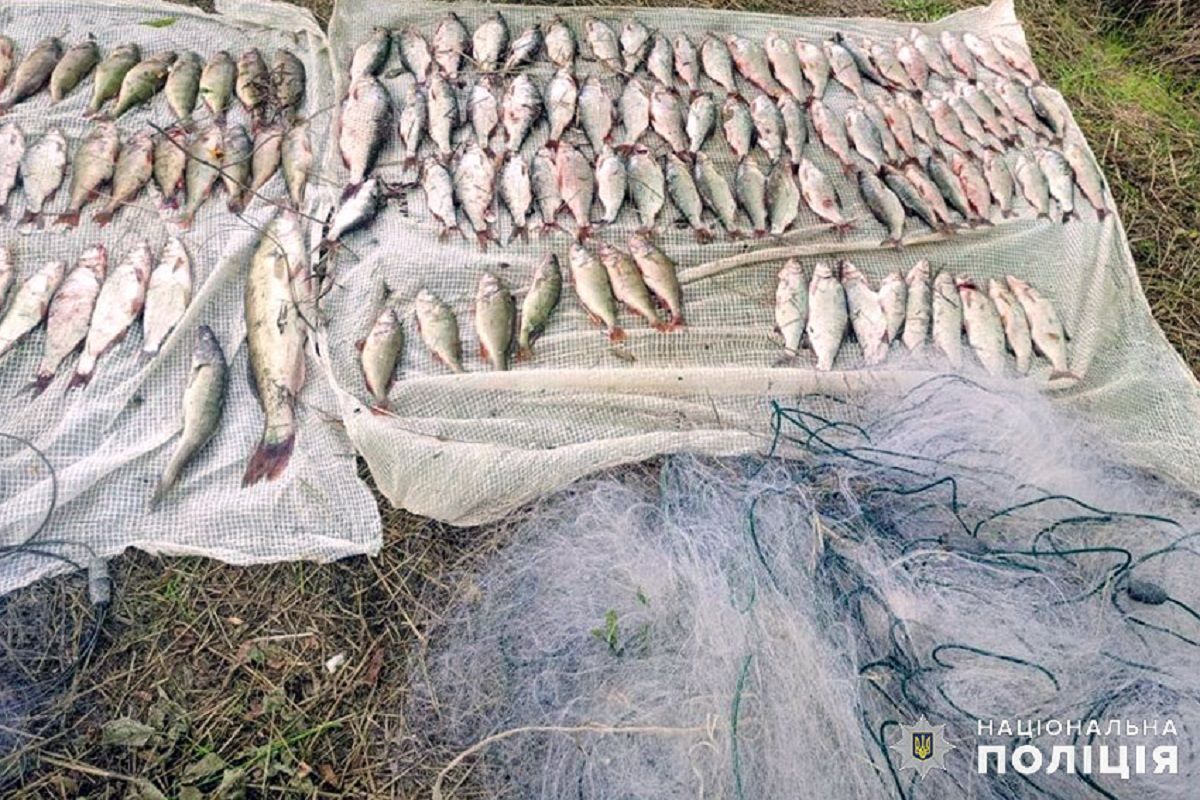 Двоє браконьєрів з Хмельниччини сітками наловили риби у водосховищі на 368 тис. грн