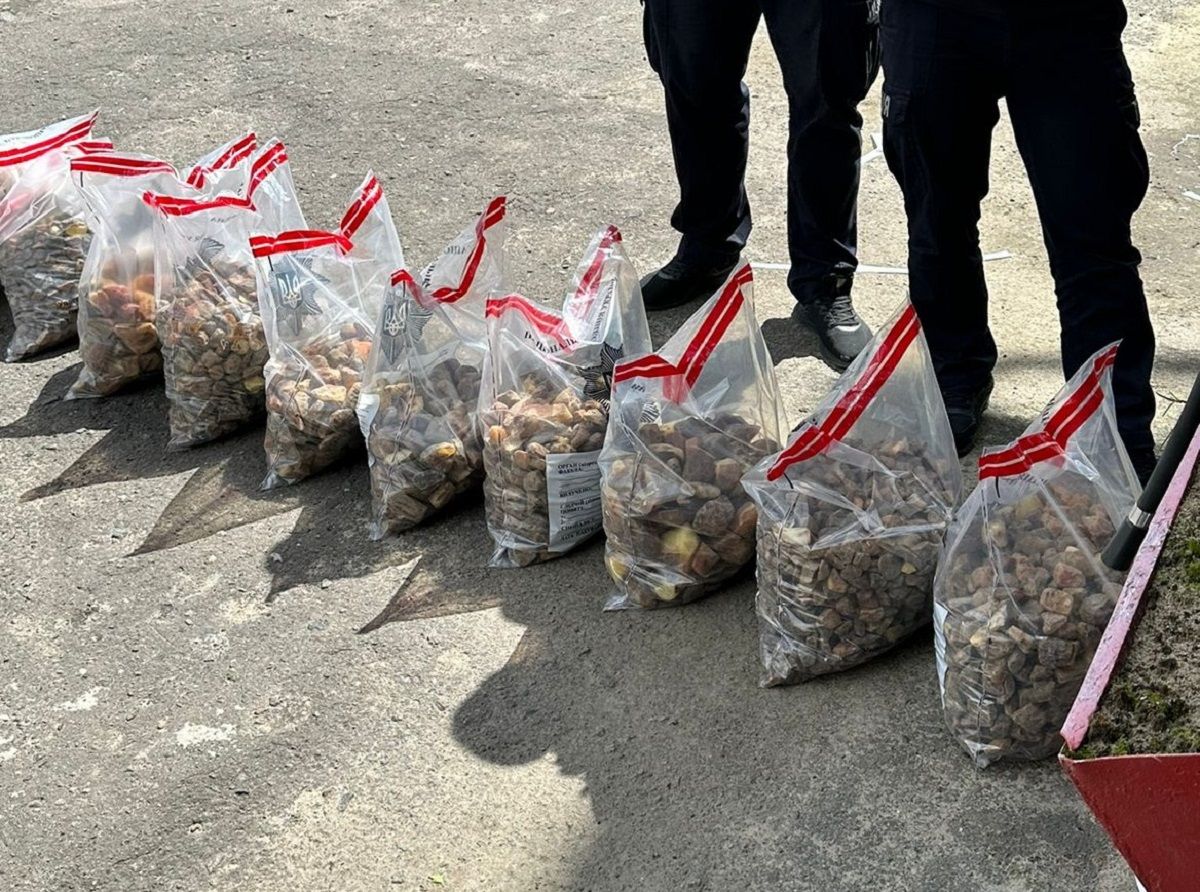 На межі Рівненщини та Львівщини поліція зупинила мікроавтобус з 85 кг бурштину