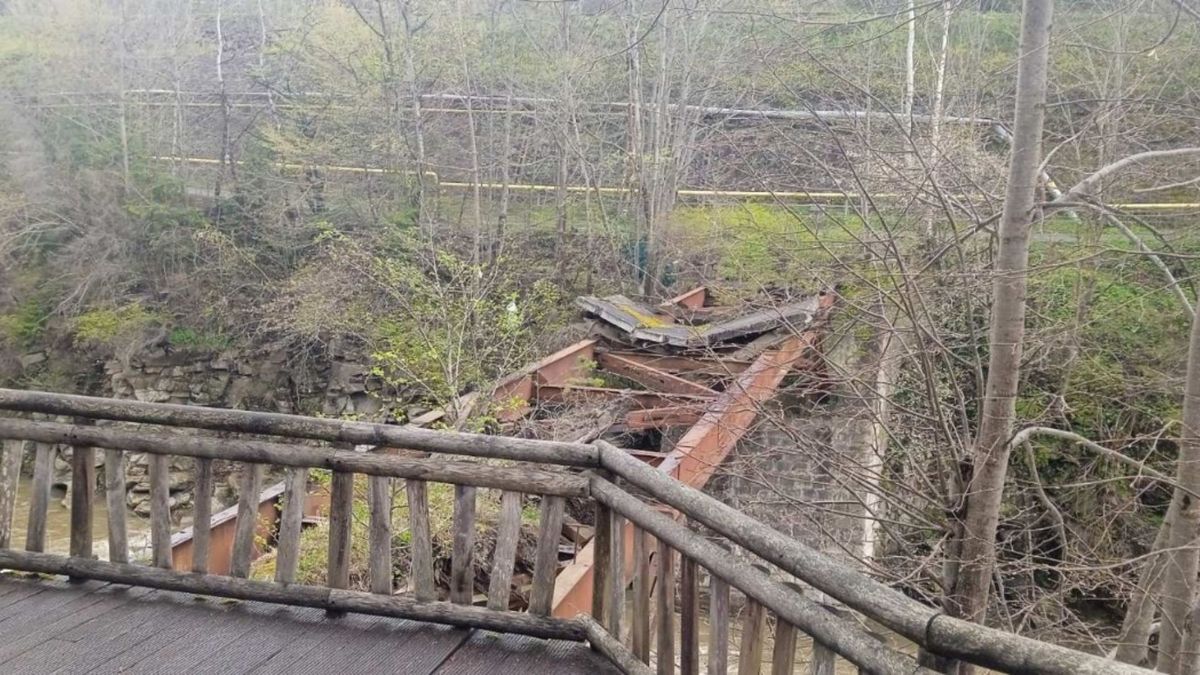 На Івано-Франківщині за майже 700 тис. грн продають аварійний пішохідний міст