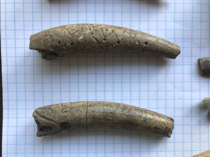 Кістяні амулети із вирізьбленою символікою (фото НАН України)