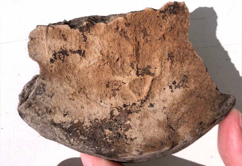 Денце горщика XII-XIII ст. із клеймом тризуба (фото Віктора Баюка)